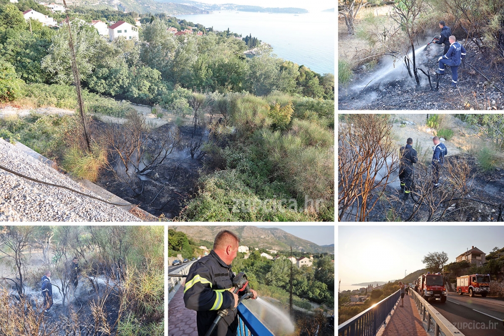 Brzom intervencijom župskog DVD-a spriječeno &scaron;irenje požara na Smokovjencu (FOTO)