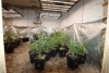 Policija u Konavlima pretragom kuće prona&scaron;la ilegalni laboratorij, amfetamin i stabljike cannabis sative