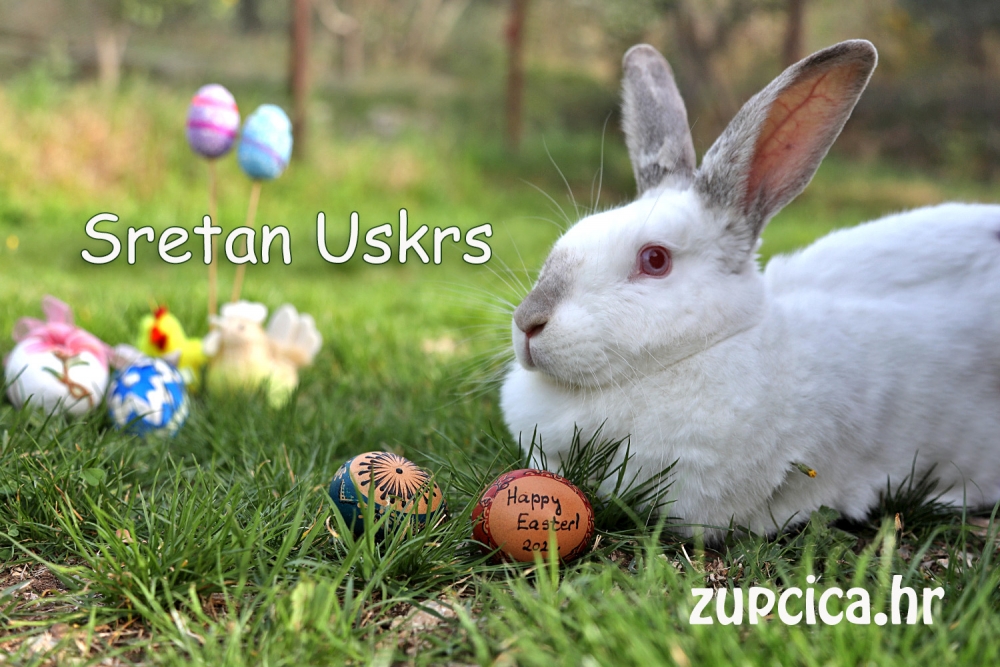 Sretan Vam i blagoslovljen Uskrs